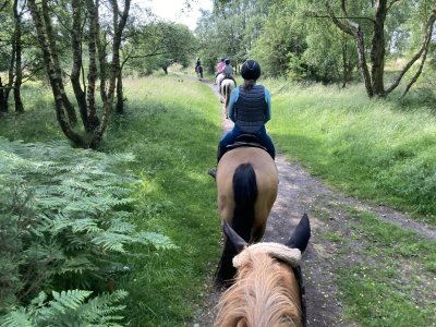 IMG_4288.jpeg IMG_4288.jpeg