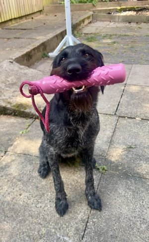 7550DA3D-F3ED-475F-ADE5-D789E4DF4D99.jpeg 7550DA3D-F3ED-475F-ADE5-D789E4DF4D99.jpeg