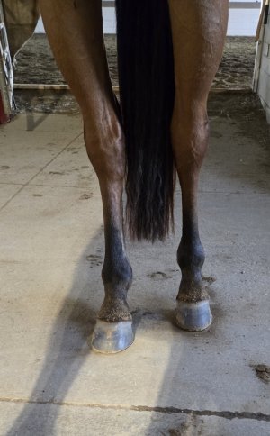 Screenshot_20240626_212033_Gallery.jpg Screenshot_20240626_212033_Gallery.jpg