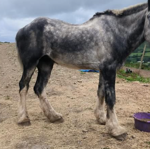 1719649996139.png 1719649996139.png