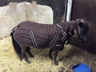 IMG_5723.jpeg IMG_5723.jpeg