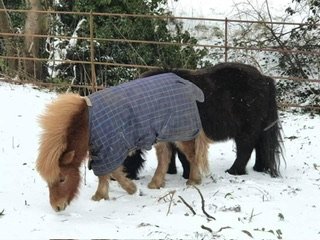 IMG_5727.jpeg IMG_5727.jpeg