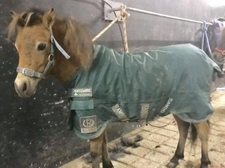 IMG_5728.jpeg IMG_5728.jpeg