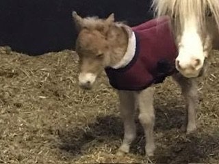 IMG_5730.jpeg IMG_5730.jpeg