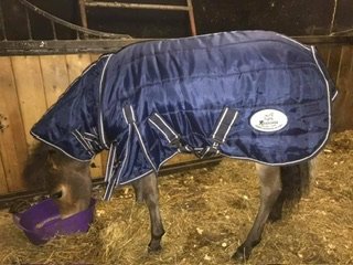 IMG_5731.jpeg IMG_5731.jpeg