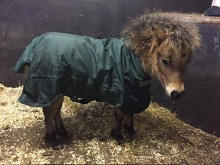 IMG_5732.jpeg IMG_5732.jpeg