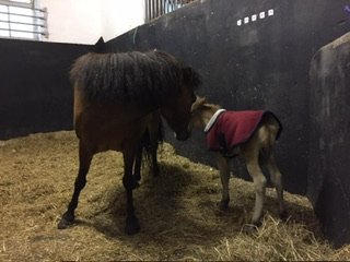 IMG_5734.jpeg IMG_5734.jpeg