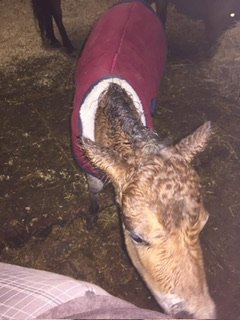 IMG_5733.jpeg IMG_5733.jpeg