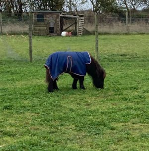 Screenshot_20240701_105922_Gallery.jpg Screenshot_20240701_105922_Gallery.jpg