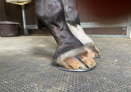 IMG_5138.jpeg IMG_5138.jpeg