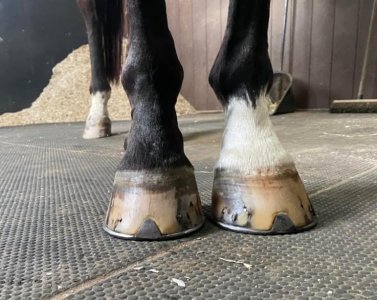 IMG_5139.jpeg IMG_5139.jpeg