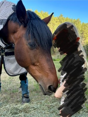 IMG_3015.jpeg IMG_3015.jpeg