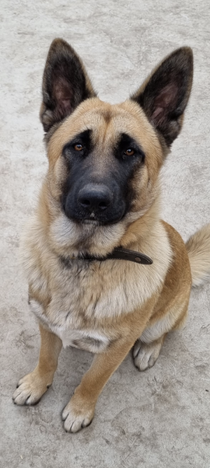 1000023589.png 1000023589.png