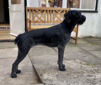 2AEB2FCA-CB26-4E88-BB68-CDF3005F610B.jpeg 2AEB2FCA-CB26-4E88-BB68-CDF3005F610B.jpeg