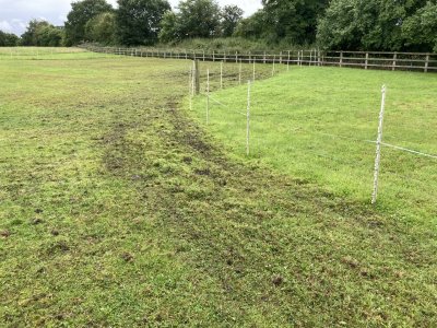 IMG_4456.jpeg IMG_4456.jpeg