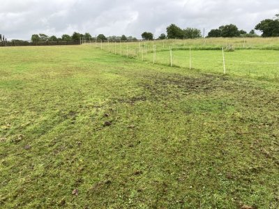 IMG_4460.jpeg IMG_4460.jpeg