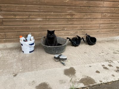 IMG_4472.jpeg IMG_4472.jpeg