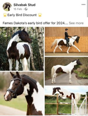 IMG_7127.jpeg IMG_7127.jpeg