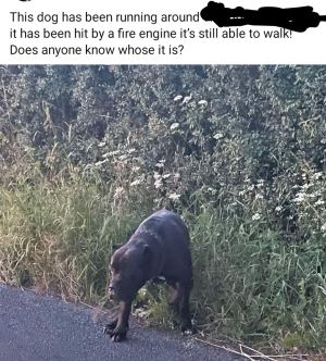 Screenshot_20240708-084257~2.png Screenshot_20240708-084257~2.png