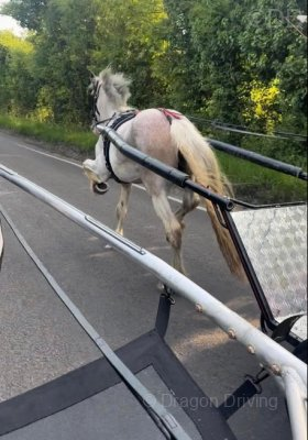 1720474030942.png 1720474030942.png