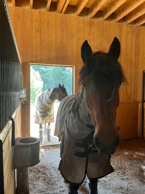 IMG_1326.jpeg IMG_1326.jpeg