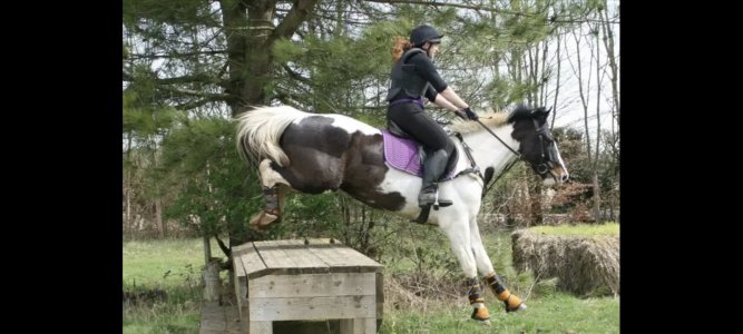 Screenshot_20240710_212249_Gallery.jpg Screenshot_20240710_212249_Gallery.jpg