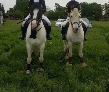 img_4_1720643119177.jpg img_4_1720643119177.jpg