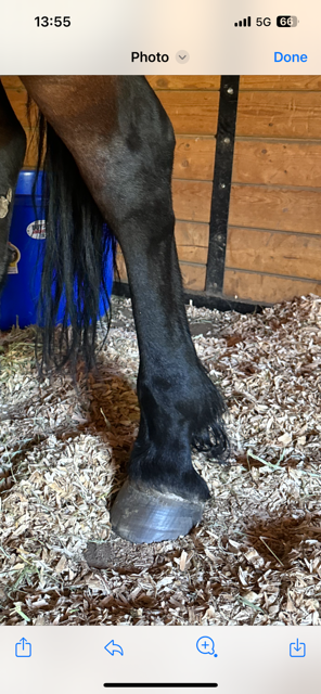 IMG_1349.png IMG_1349.png