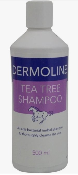 IMG_1158.jpeg IMG_1158.jpeg