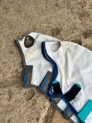 89104C63-17D9-4F6D-8D7D-2C758BAFE3CA.jpeg 89104C63-17D9-4F6D-8D7D-2C758BAFE3CA.jpeg