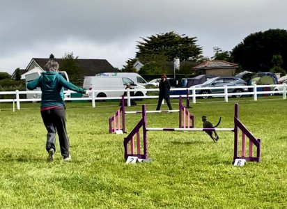 IMG_1089.jpeg IMG_1089.jpeg