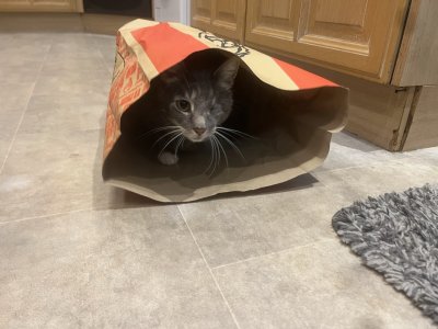 D58C7EA8-0A2F-455C-928B-95EE7BDB9522.jpeg D58C7EA8-0A2F-455C-928B-95EE7BDB9522.jpeg