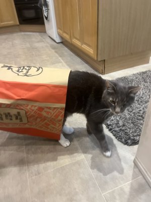 5941C252-F4D1-4974-A7D1-AFF2809104CB.jpeg 5941C252-F4D1-4974-A7D1-AFF2809104CB.jpeg