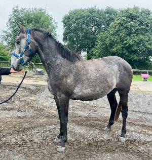 c95c85a8-551b-49f2-9e77-e0437e453471.jpeg c95c85a8-551b-49f2-9e77-e0437e453471.jpeg