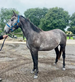 83a6fd62-6950-4980-ba0c-83f1c8e0614d.jpeg 83a6fd62-6950-4980-ba0c-83f1c8e0614d.jpeg