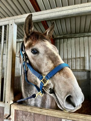 c9b74997-a09a-41c2-96fd-7ad5eefde2a0.jpeg c9b74997-a09a-41c2-96fd-7ad5eefde2a0.jpeg