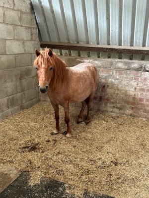 IMG_6757.jpeg IMG_6757.jpeg