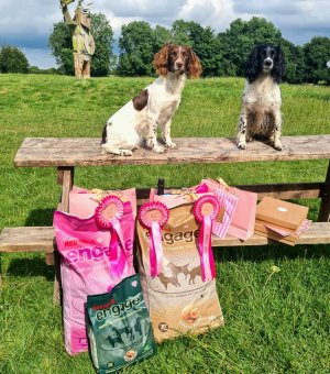 20240714_164745.jpg 20240714_164745.jpg