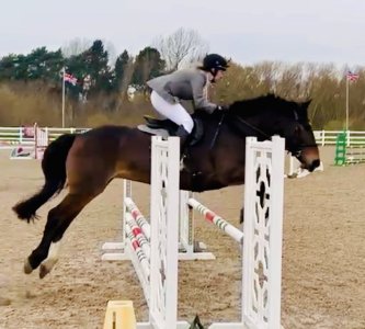 IMG_8669.jpeg IMG_8669.jpeg