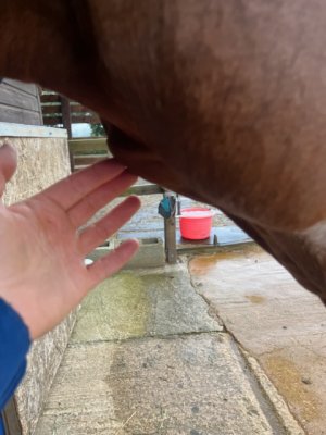 9E16B15F-7F0C-4376-91B7-51F76A27381A.jpeg 9E16B15F-7F0C-4376-91B7-51F76A27381A.jpeg