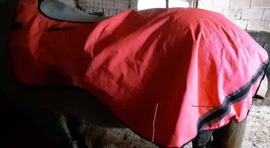 20210213_154642 - Copy.jpg