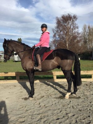 IMG_7190.jpeg IMG_7190.jpeg