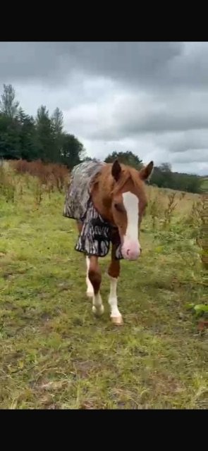 C208151C-372A-40D0-84FD-110C836E32F8.jpeg C208151C-372A-40D0-84FD-110C836E32F8.jpeg