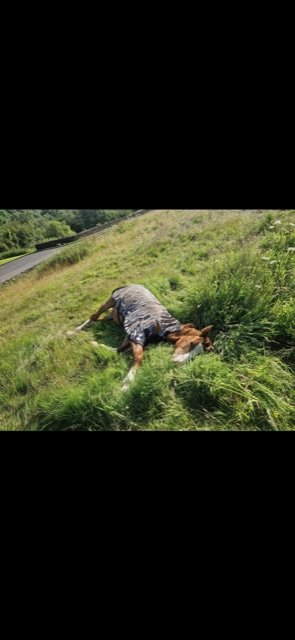 F91A4B6D-DDBA-4520-AF89-1BC2057E04D2.jpeg F91A4B6D-DDBA-4520-AF89-1BC2057E04D2.jpeg