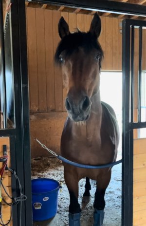 IMG_1492.jpeg IMG_1492.jpeg