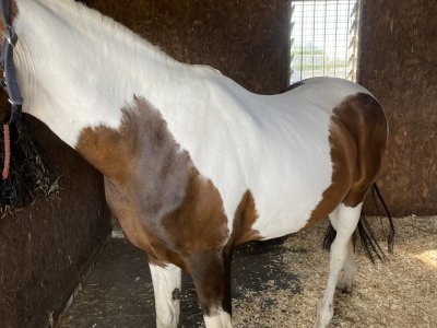 IMG_4625.jpeg IMG_4625.jpeg