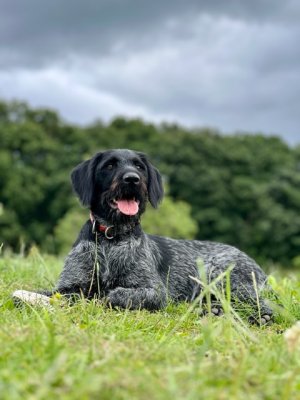 4F01C8B4-D7A3-4A15-9505-83B751D5E494.jpeg 4F01C8B4-D7A3-4A15-9505-83B751D5E494.jpeg