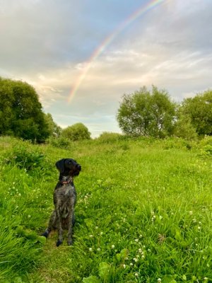 998A4CA8-74CC-4BAF-8E33-6D2E5B6CC2FE.jpeg 998A4CA8-74CC-4BAF-8E33-6D2E5B6CC2FE.jpeg