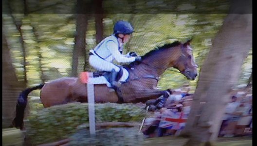 Screenshot_20240728-212925~2_234254.jpg Screenshot_20240728-212925~2_234254.jpg