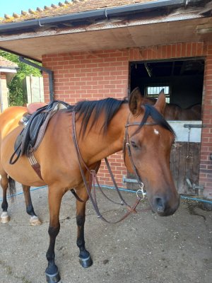 20240726_090345_resize_6.jpg 20240726_090345_resize_6.jpg